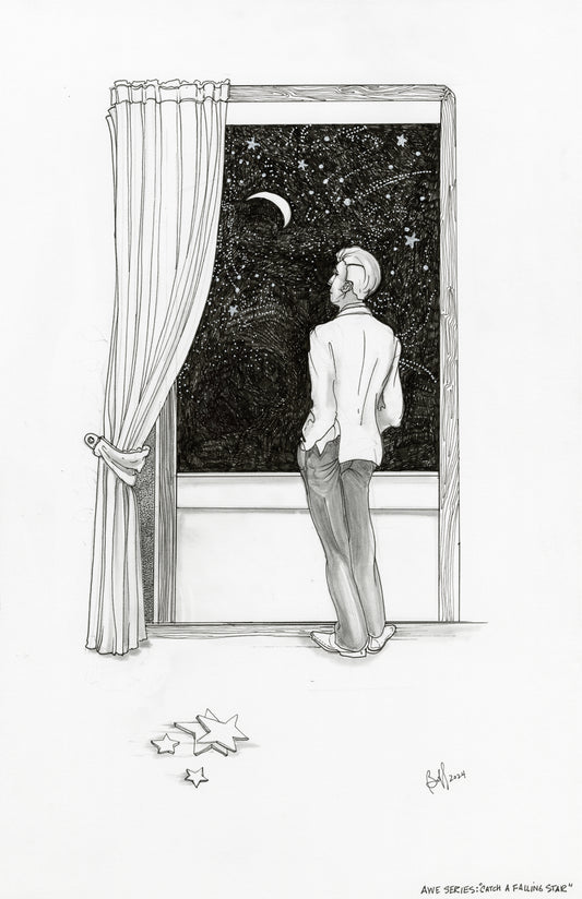 Catch a Falling Star