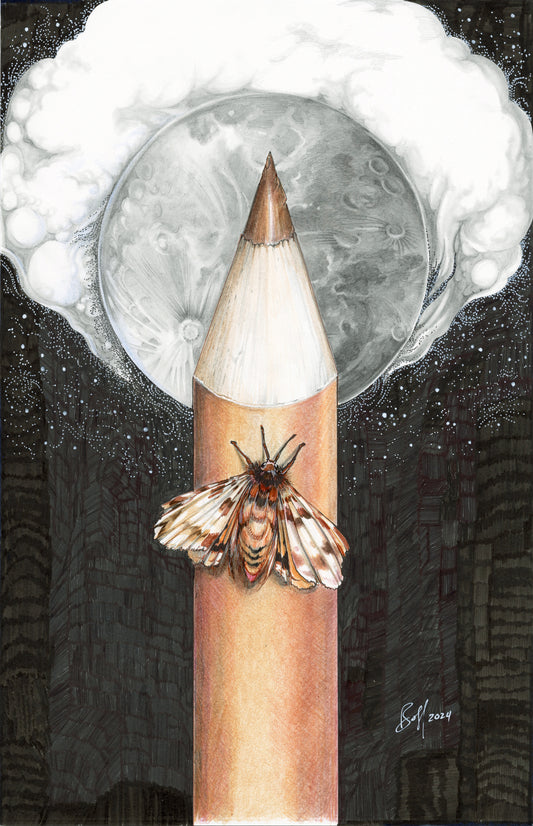 Moon, Moth, & Pencil