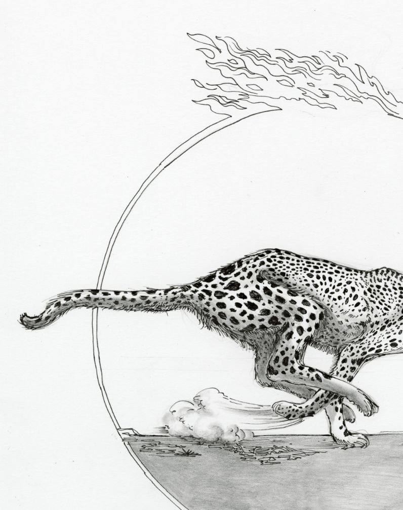 Cheetah