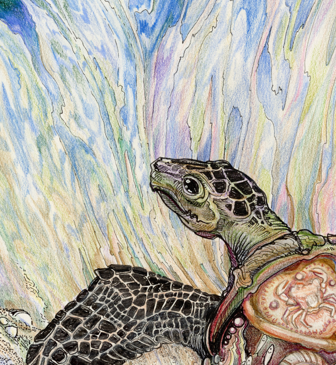 Tattooed Turtle 3 - The Marauder