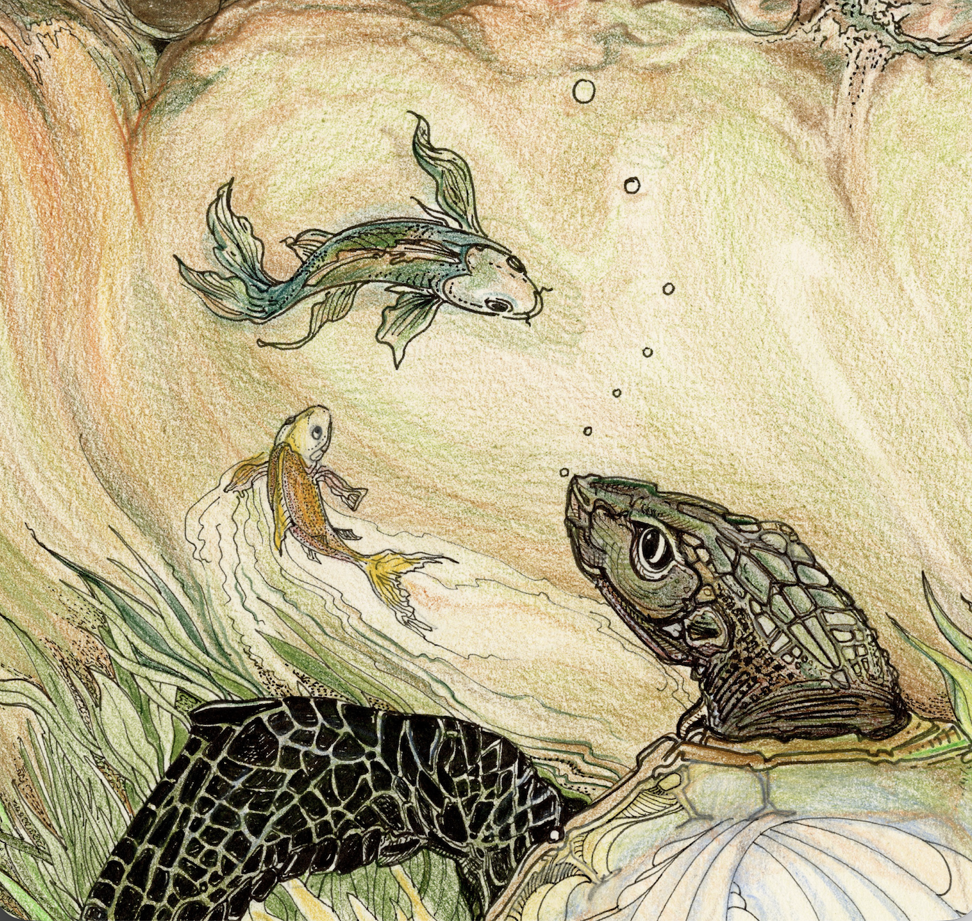 Tattooed Turtle 1 - The Juliet