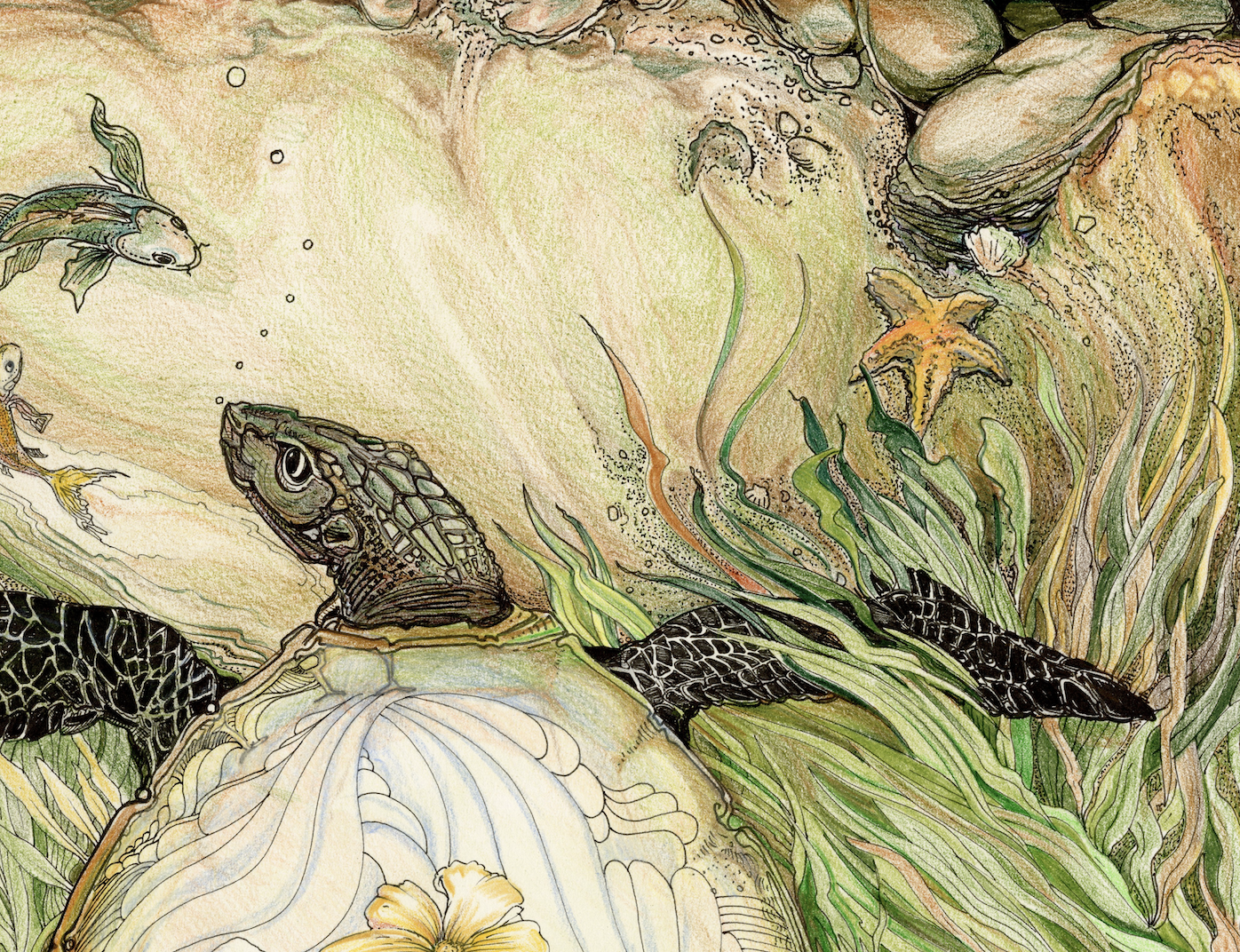 Tattooed Turtle 1 - The Juliet