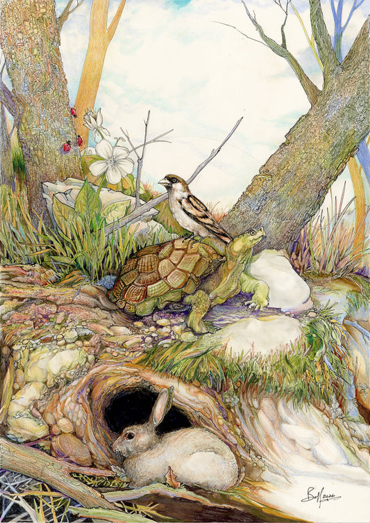 The Woodland Turtle