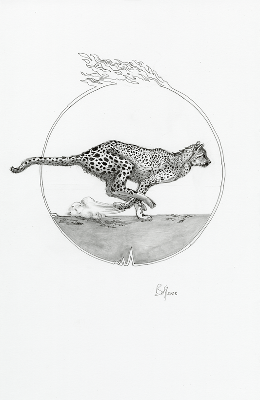 Cheetah