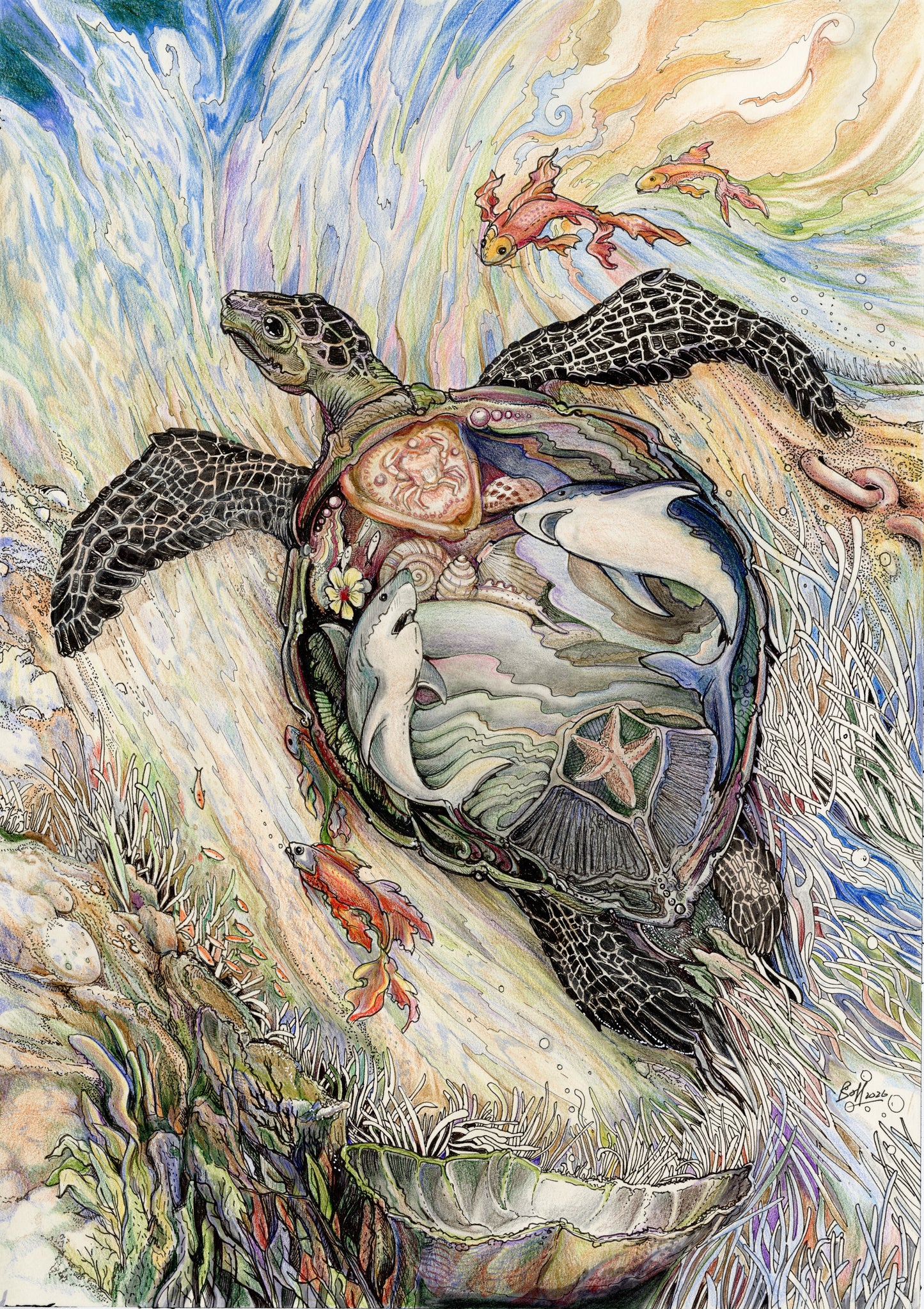 Tattooed Turtle 3 - The Marauder