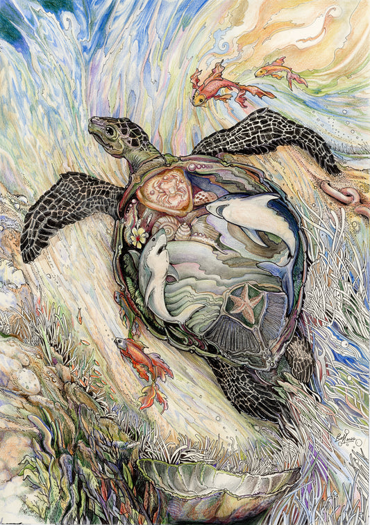 Tattooed Turtle 3 - The Marauder